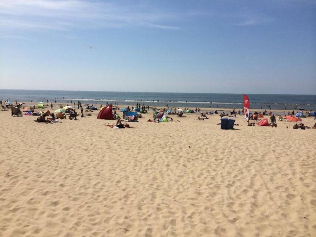 Strand83 Egmond aan Zee Luaran gambar