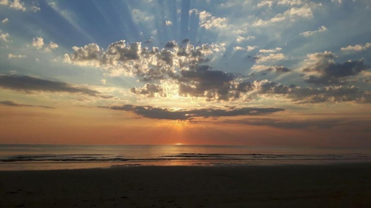 Strand83 Egmond aan Zee Luaran gambar
